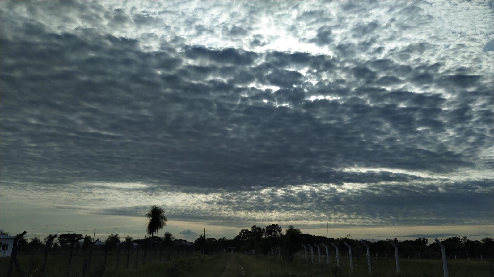 Amanecer sobre el llano de Santa Cruz de la Sierra, con palmeras y cielo nublado
